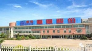 山东道恩等知名企业招人啦